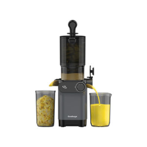 آبمیوه گیر و عصاره گیر برقی گلتیج مدل Gaoltage VitaFlow Slow Juicer 200W