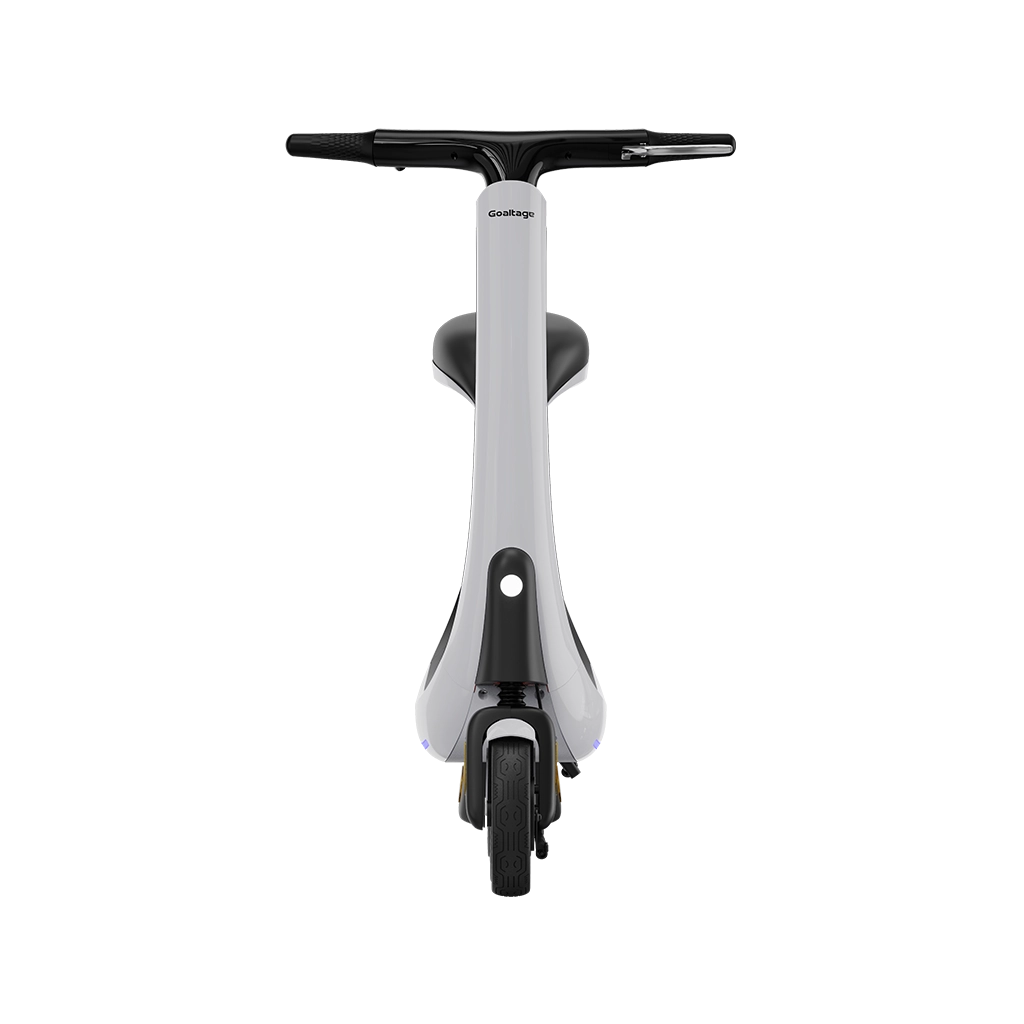 goaltage-powermotion-electric-scooter-07